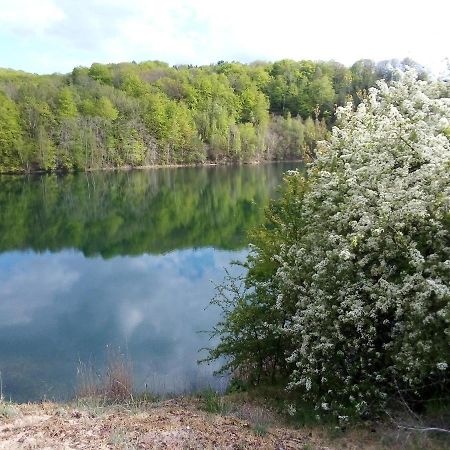 Domek Pod Swierkiem Wapnica  Dış mekan fotoğraf