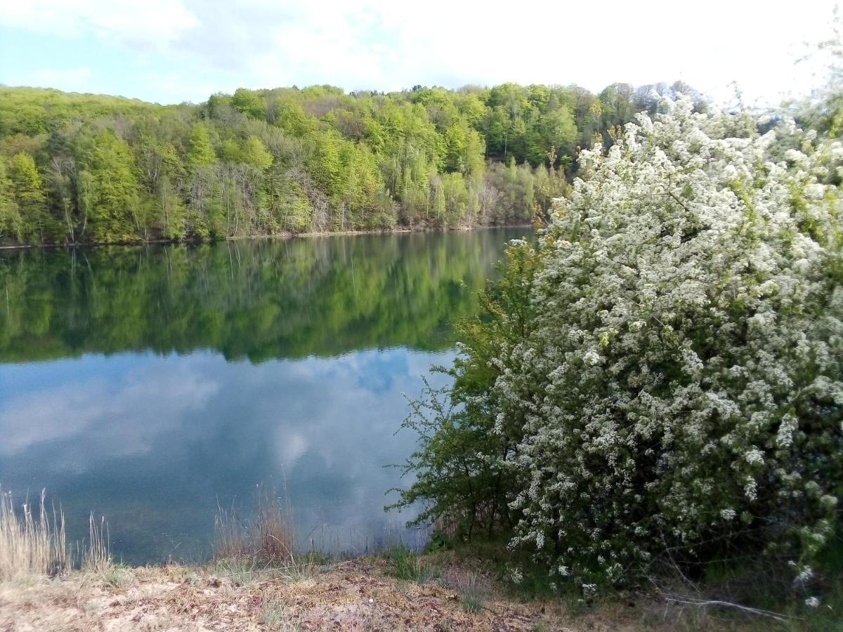 Domek Pod Swierkiem Wapnica  Dış mekan fotoğraf